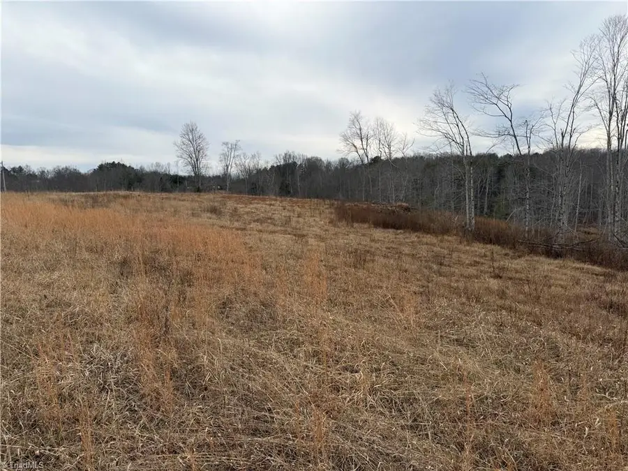 19.25+/- AC Pork Trail, Pinnacle, NC 27043 - Image #3