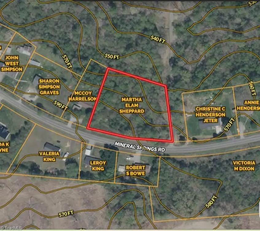 0 Mineral Springs Road, Pelham, NC 27311 - #2
