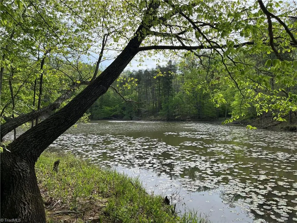 0 Sheets Trail, Germanton, NC 27019 - #1