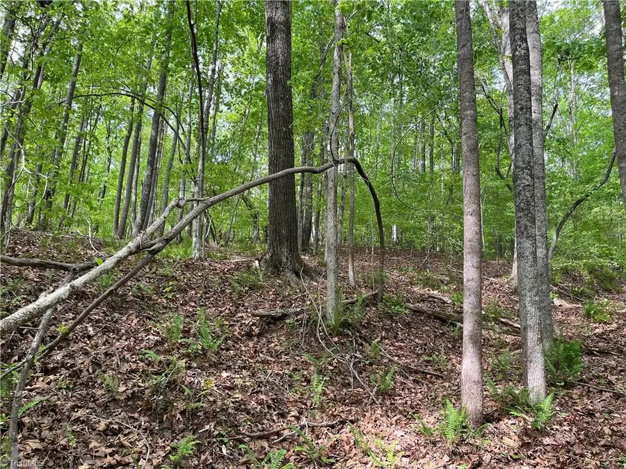 0 Sheets Trail, Germanton, NC 27019 - #2