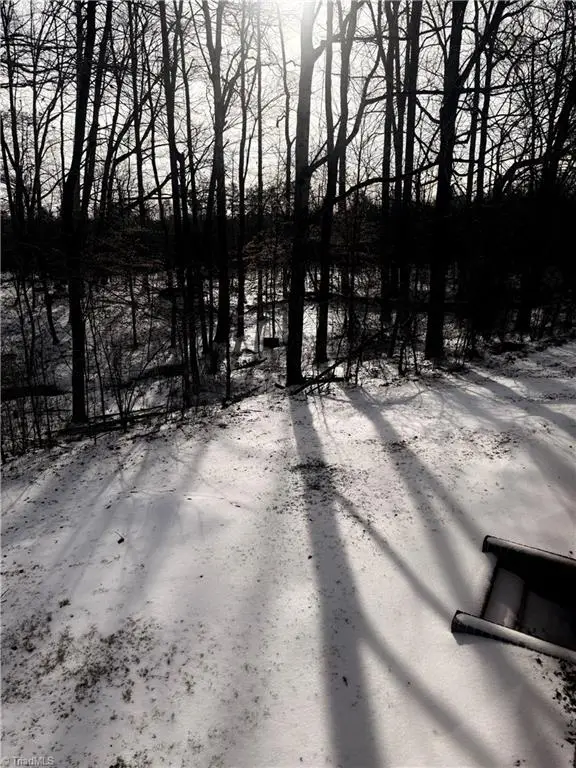 2969 Piney Mountain Road, Walnut Cove, NC 27052 - #3