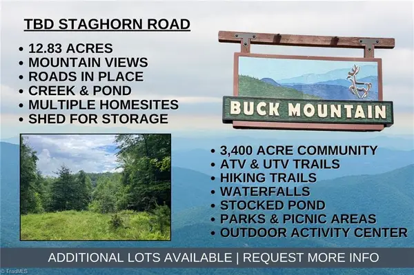 TBD Staghorn Road, Purlear, NC 28665