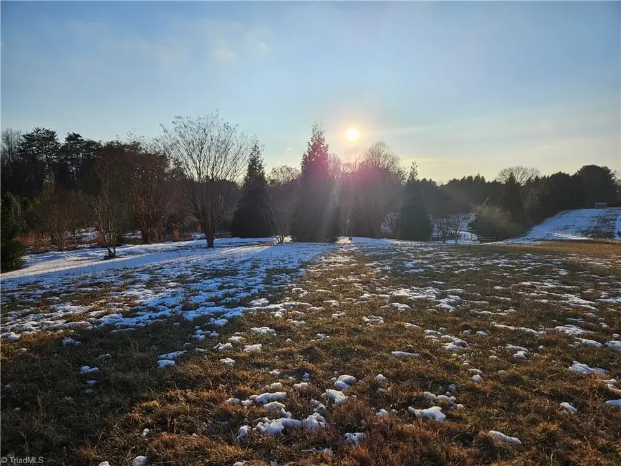 00 Volunteer Road #3, Pinnacle, NC 27043 - #3