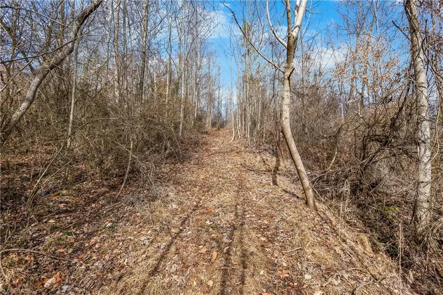 0 Hinshaw Road, Yadkinville, NC 27055 - #2