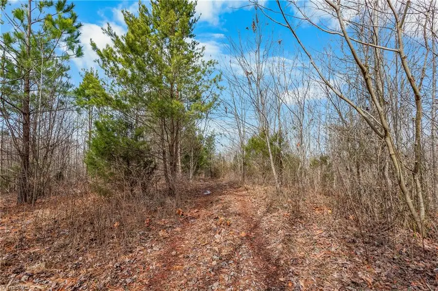 0 Hinshaw Road, Yadkinville, NC 27055 - #3