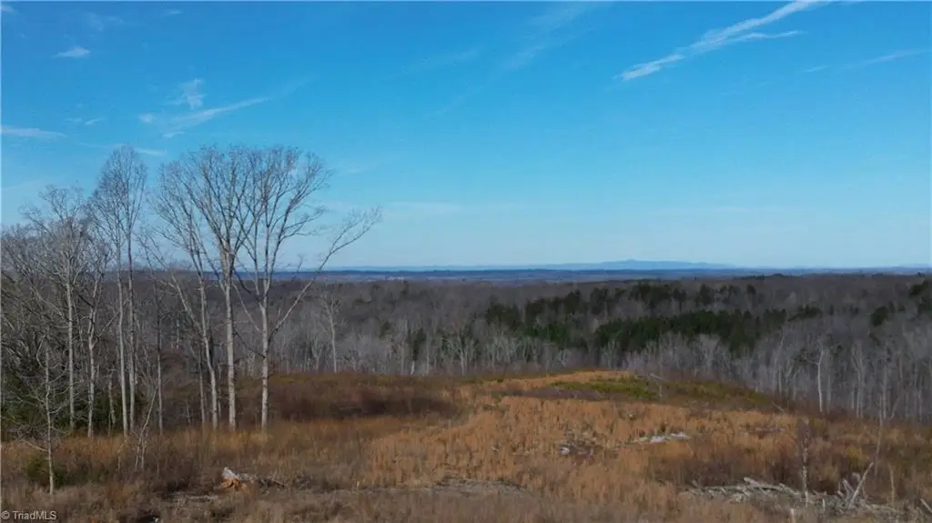 00 Valley Level Road #Parcel - A, Reidsville, NC 27320 - #1