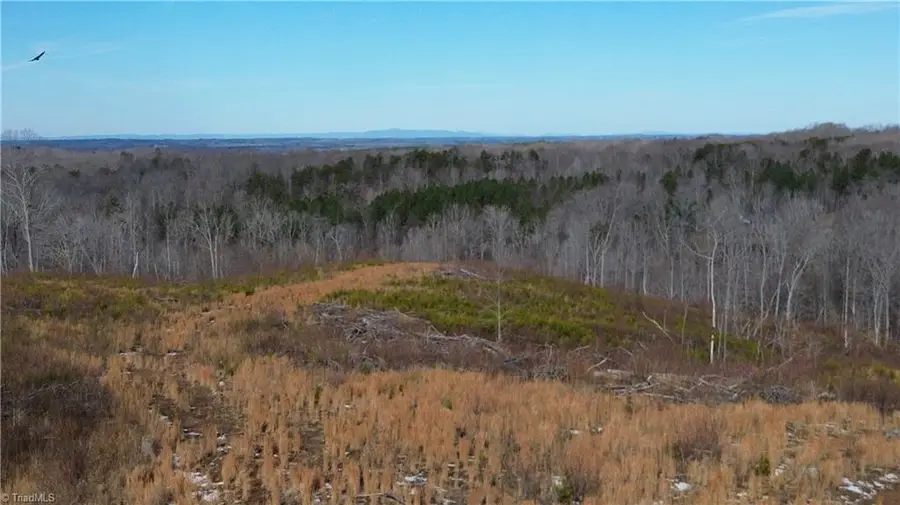 00 Valley Level Road #Parcel - A, Reidsville, NC 27320 - #2