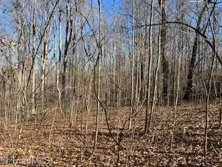 3633 Shacktown Road, Yadkinville, NC 27055 - #1