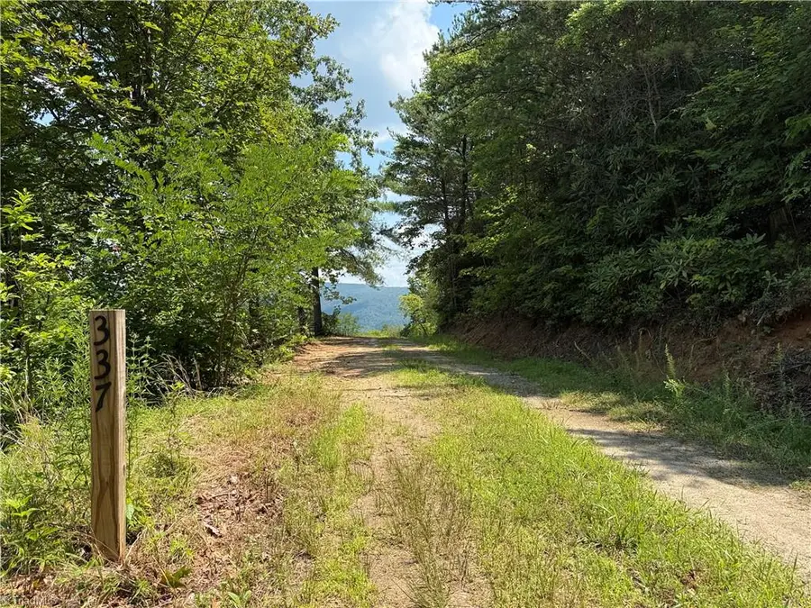 337 Lucas Path Drive, Purlear, NC 28665 - #2