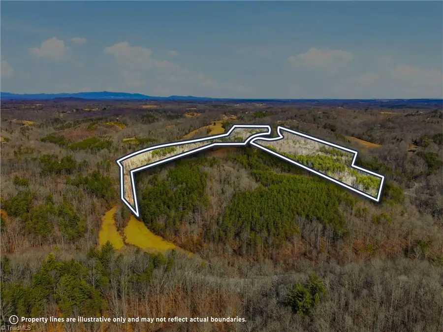 1324 Hardie Mabe Road, Danbury, NC 27016 - #3