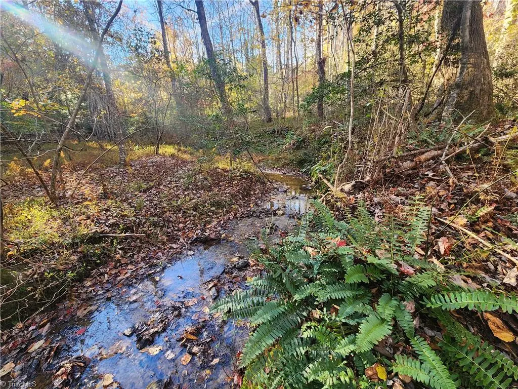 tbd Sable Avenue, Mount Airy, NC 27030 - #1