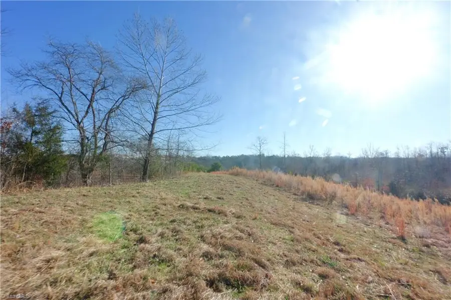 3 Roby Fulk Road, Pinnacle, NC 27043 - #3