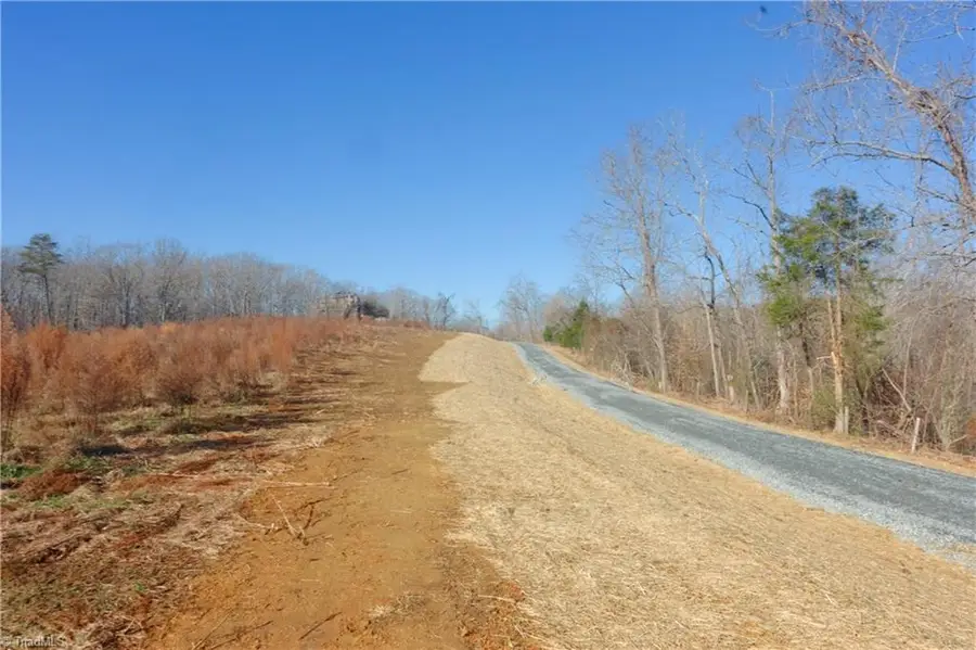 3-4 Roby Fulk Road, Pinnacle, NC 27043 - #3