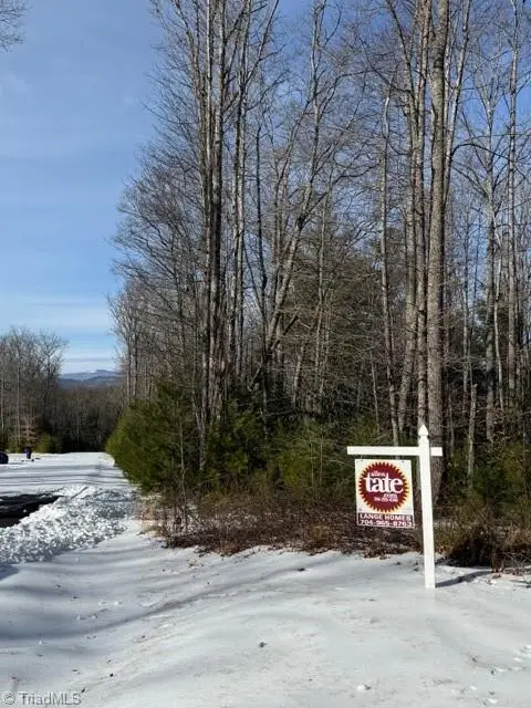 Lot 38 Sonterra Ridge, Walnut Hill, NC 28642 - #3