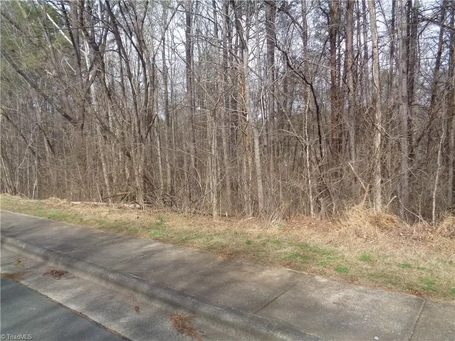 92 lot Haynoke Drive, Graham, NC 27253 - #2