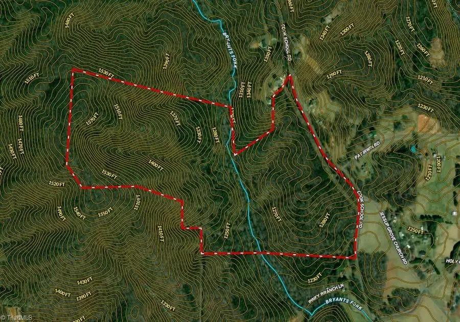 1096-1238 Cook School Road #97+/- AC Tract, Pilot Mountain, NC 27041 - #3