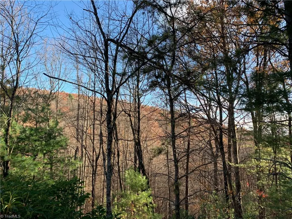TBD (Lot 1) Dugger Firetower Road, Lenoir, NC 28645 - #1