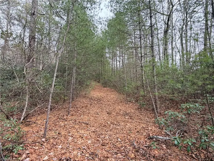 TBD (Lot 1) Dugger Firetower Road, Lenoir, NC 28645 - #3