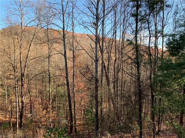 TBD (Lot 4) Wolf Den Lane, Lenoir, NC 28645