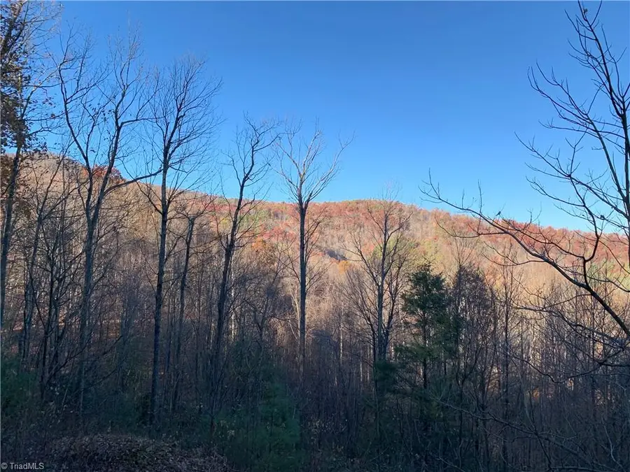 TBD (Lot 19) Wolf Den Lane, Lenoir, NC 28645 - #3