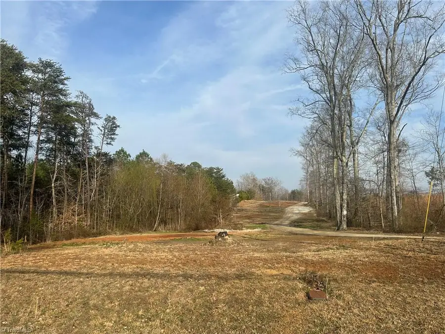 199 Rose Of Sharon Lane, Lexington, NC 27292 - #3