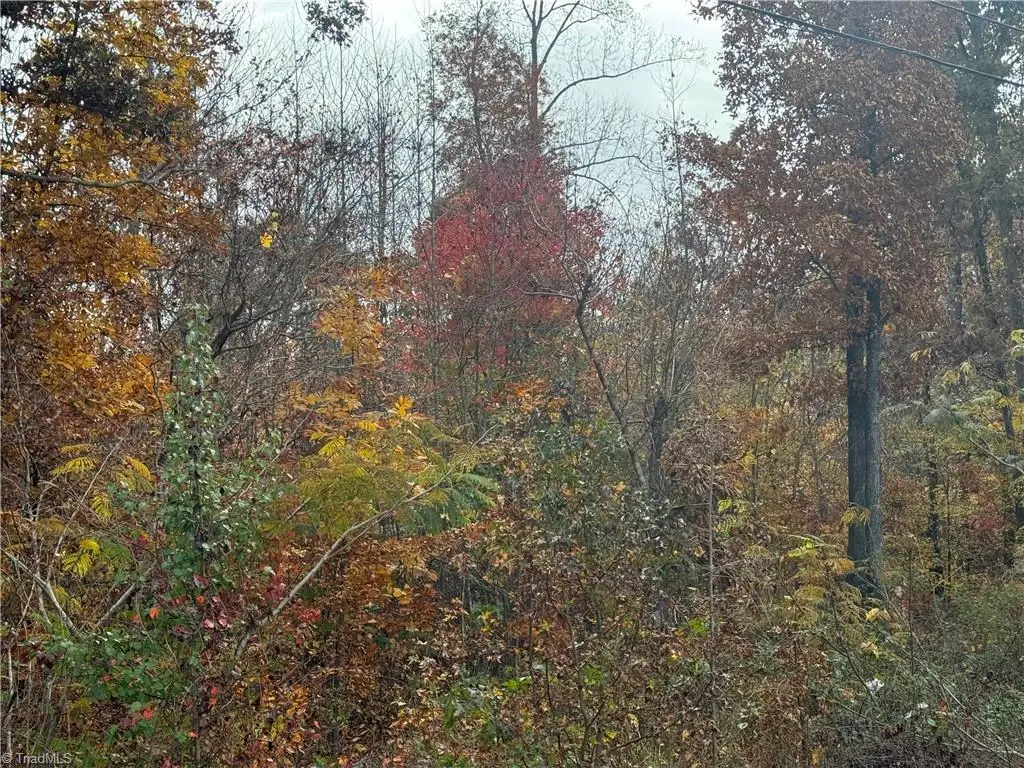 1688 Turner Road, Lexington, NC 27292 - #1