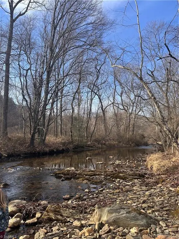 8000 Longbottom Road, Hays, NC 28635 - #1