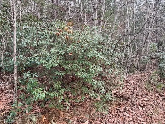 TBD Tony Holder Road, Lowgap, NC 27024 - #3