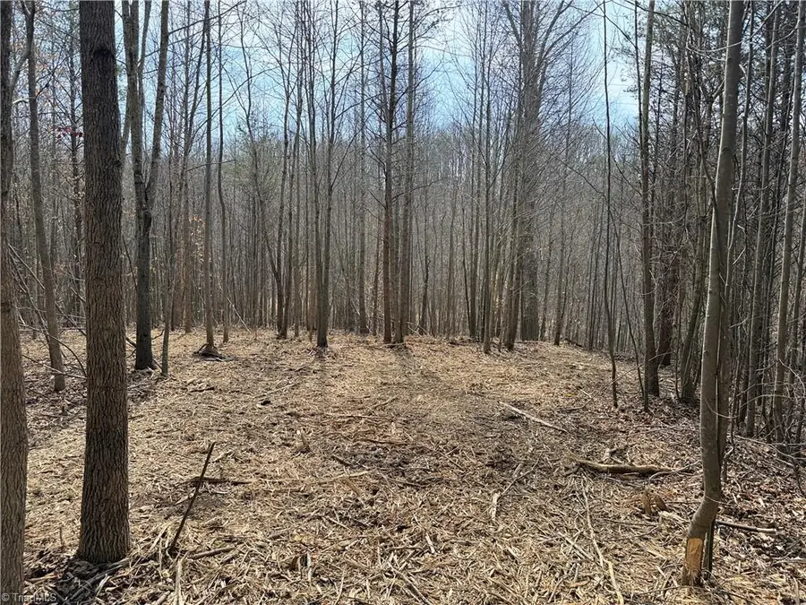 1200 Purcell Road, Reidsville, NC 27320 - #3