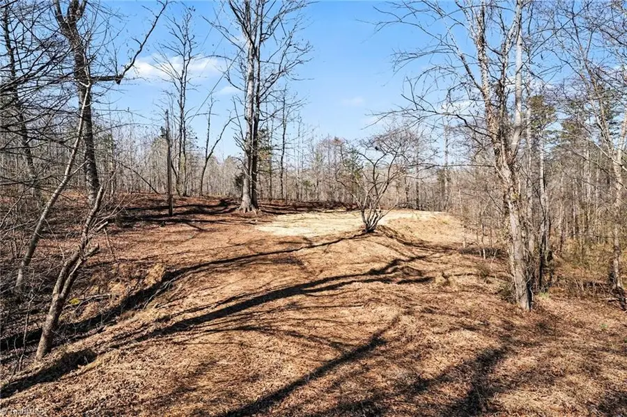 9770 Baux Mountain Road, Germanton, NC 27019 - #3