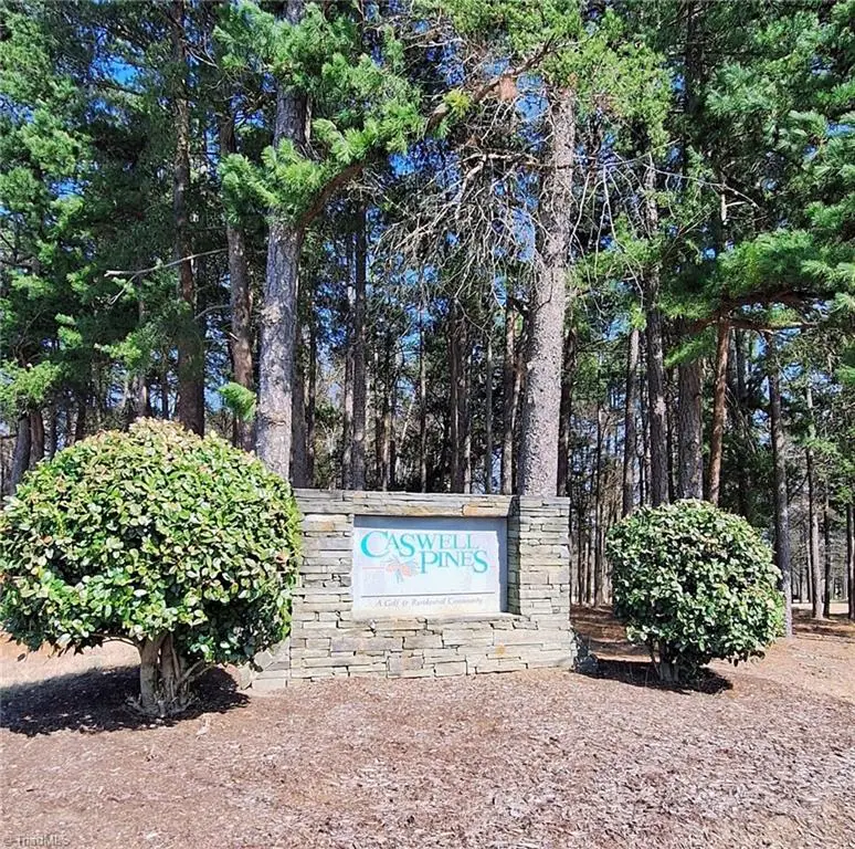 0 Caswell Pines Clubhouse Drive, Blanch, NC 27212 - #2