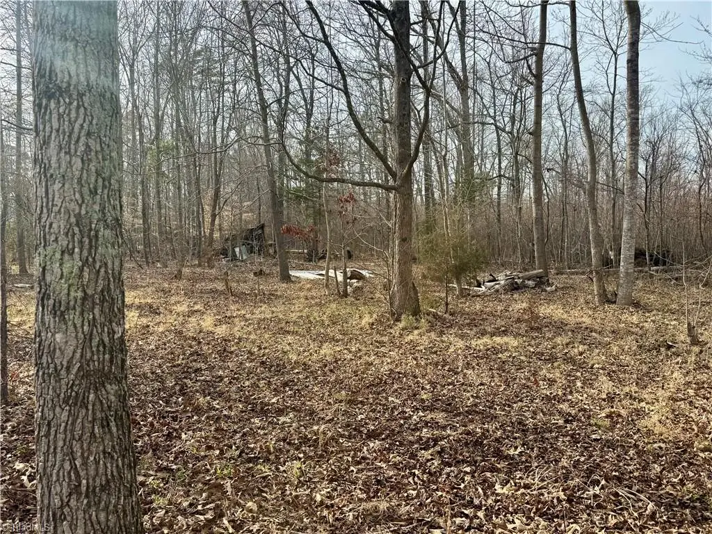 0 Glenn Williams Drive, Randleman, NC 27217 - #1