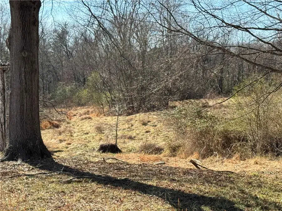 3682 Wyandotte Avenue, Winston Salem, NC 27127 - #2