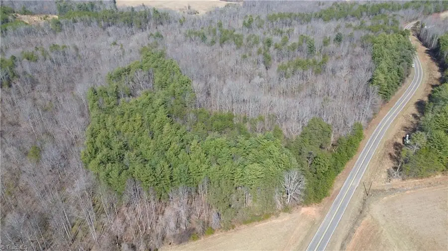 1284-1516 Tom Mix Road #95.93 +/- Ac Tract, Westfield, NC 27053 - #3