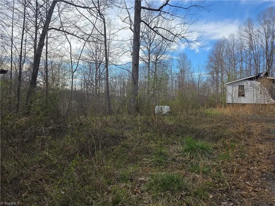 2051 Toms Creek Church Road, Pilot Mountain, NC 27041 - #2