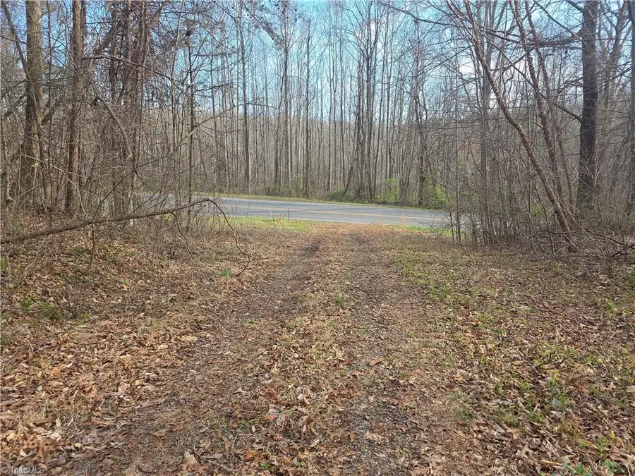 2051 Toms Creek Church Road, Pilot Mountain, NC 27041 - #3