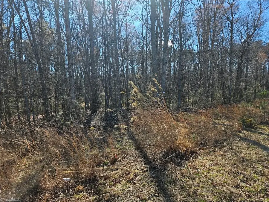 00 Locust Grove Road #4, Westfield, NC 27030 - #3