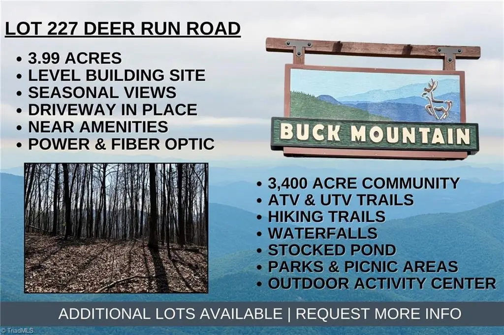 Lot 227 Deer Run, Purlear, NC 28665 - #1