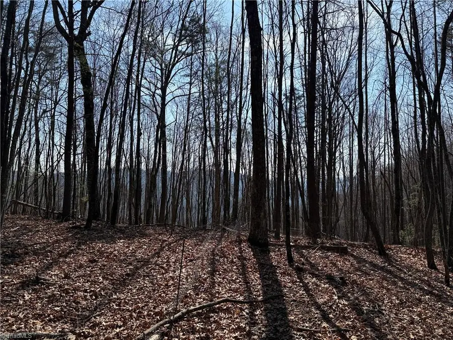 Lot 227 Deer Run, Purlear, NC 28665 - #2