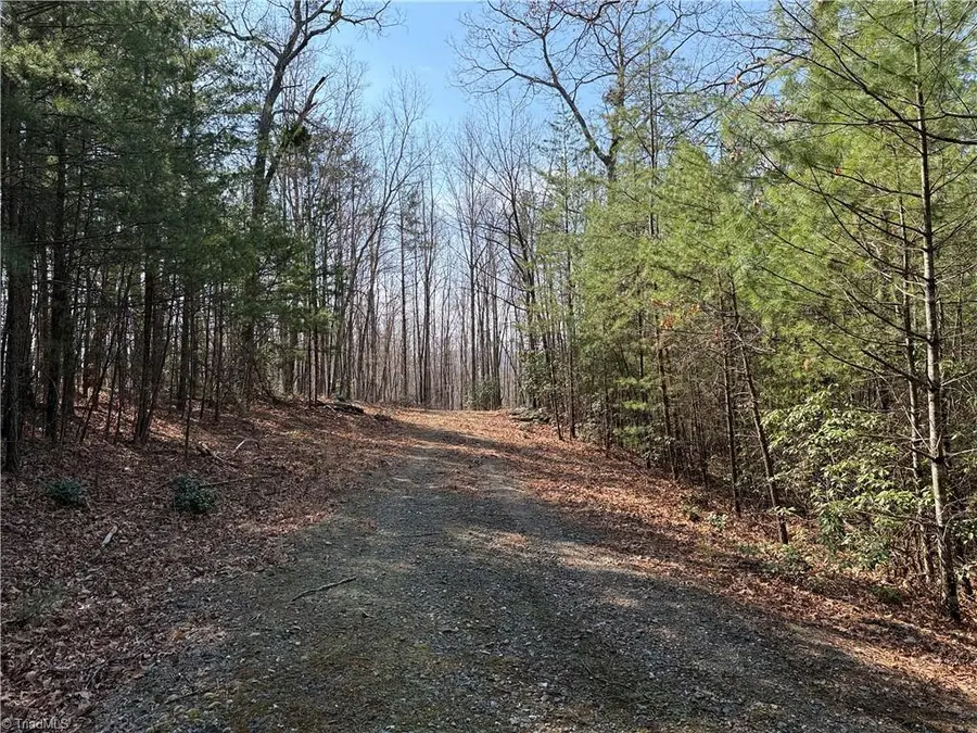 Lot 227 Deer Run, Purlear, NC 28665 - #3