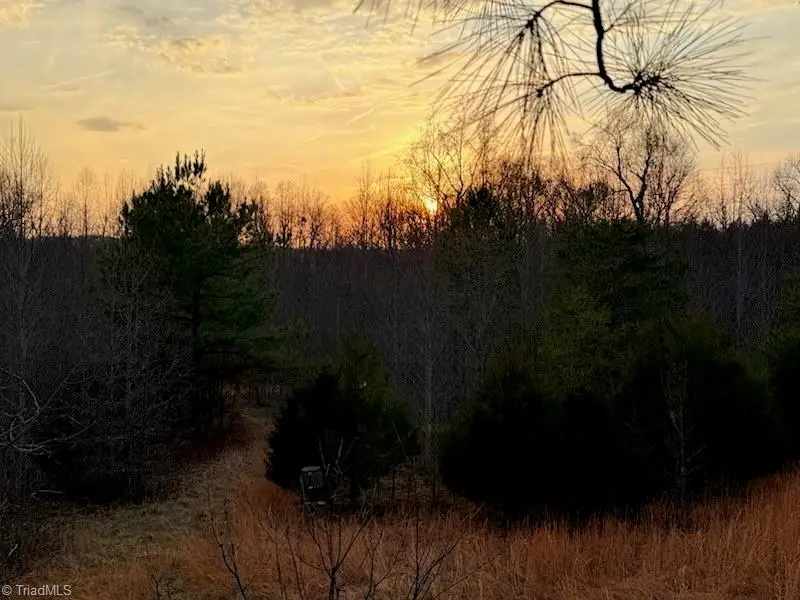 2385 Clacie Lane, Liberty, NC 27298 - #3