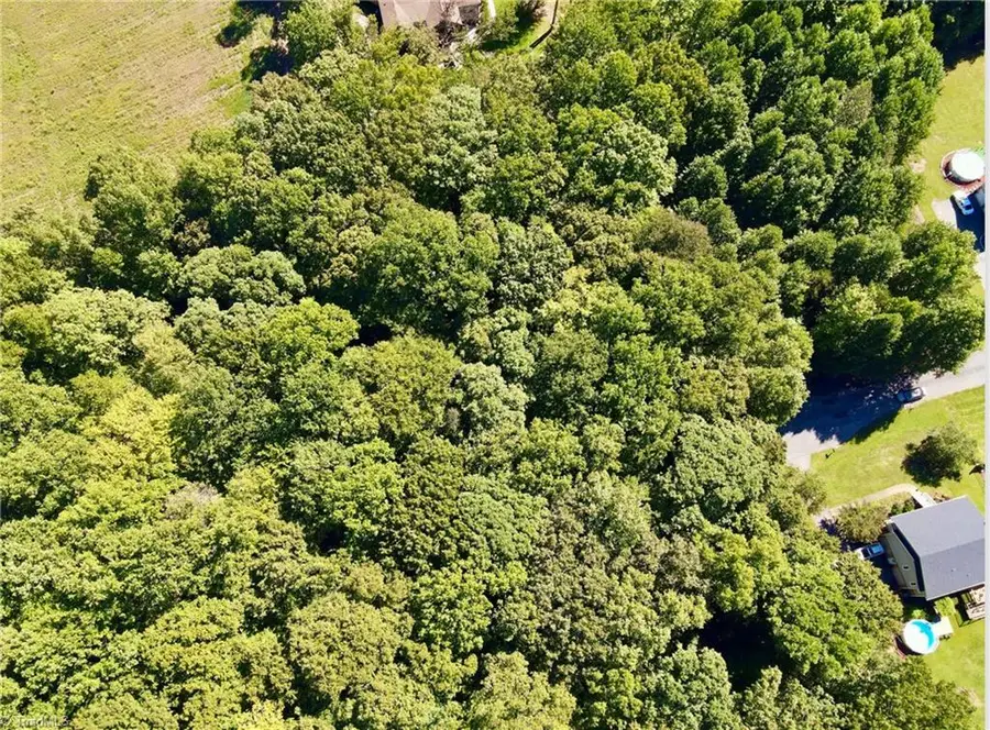 5504 Buckley Forest Trail, Walkertown, NC 27051 - #2