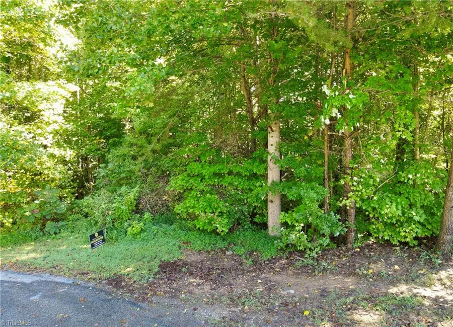 5504 Buckley Forest Trail, Walkertown, NC 27051 - #3