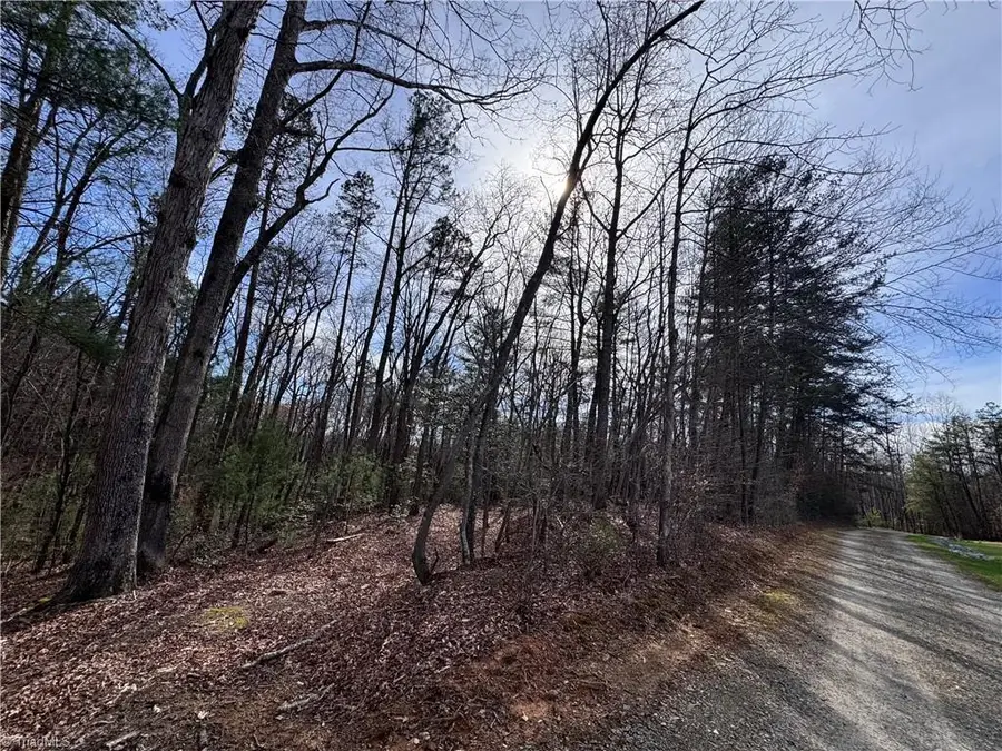 TBD Leeford Lane, Elkin, NC 28621 - #2