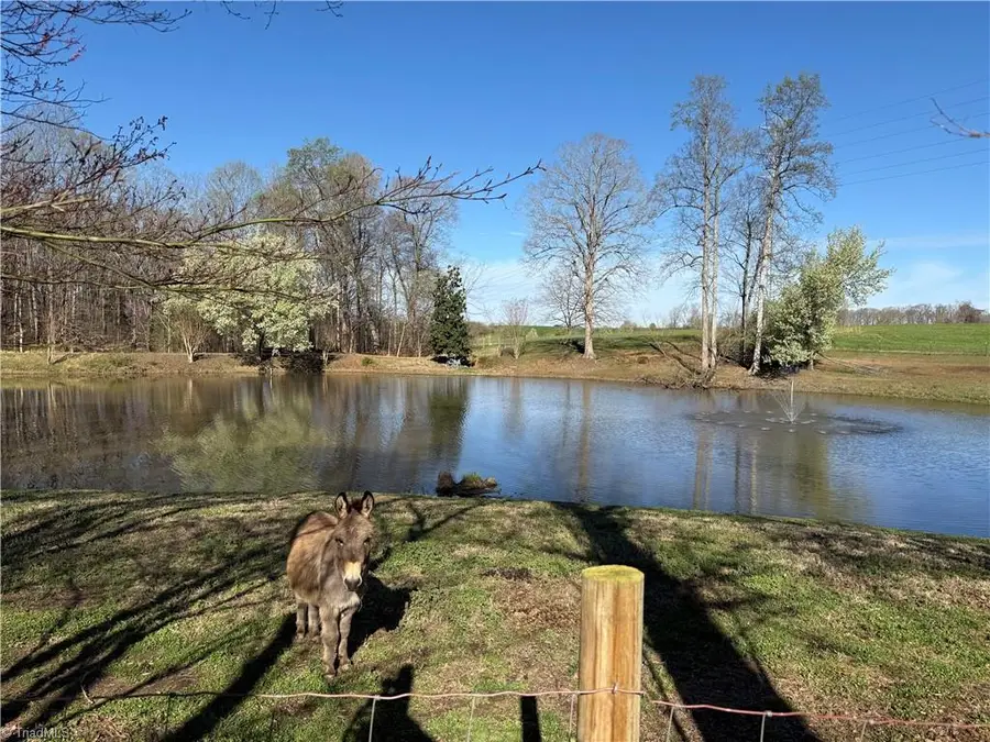 6777 Hockett Trail, Randleman, NC 27317 - #3