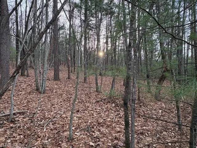 TBD Sutters Ridge Road, McGrady, NC 28649 - #1