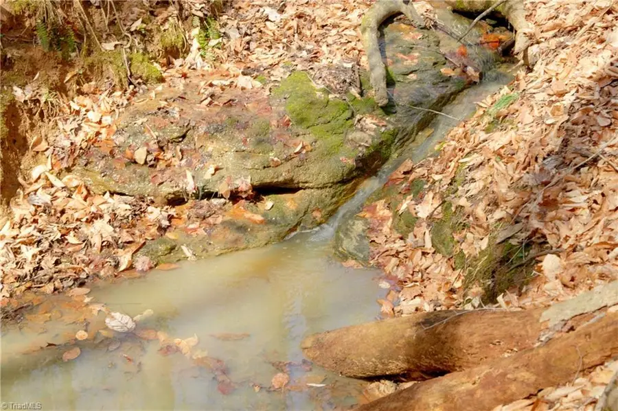 0 Seven Island Road, Danbury, NC 27016 - #3