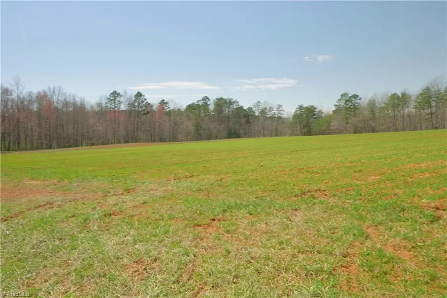 3 Old Mill Road, Pinnacle, NC 27043 - #3