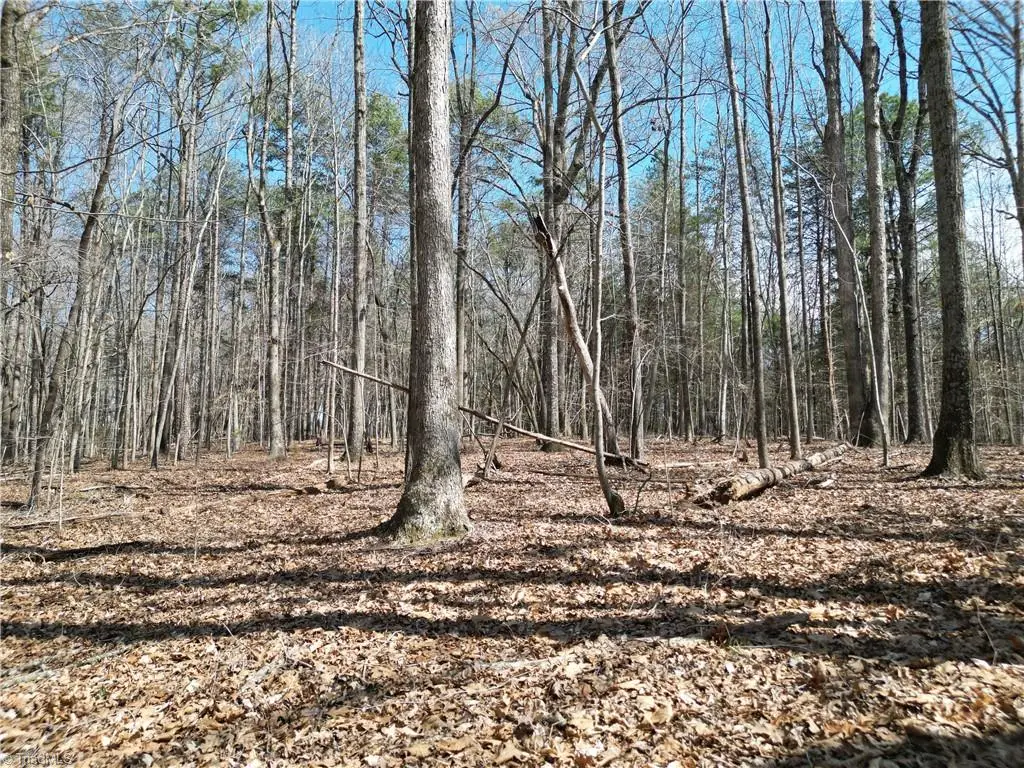 00 Tilden Nursery Road, Lexington, NC 27295 - #1