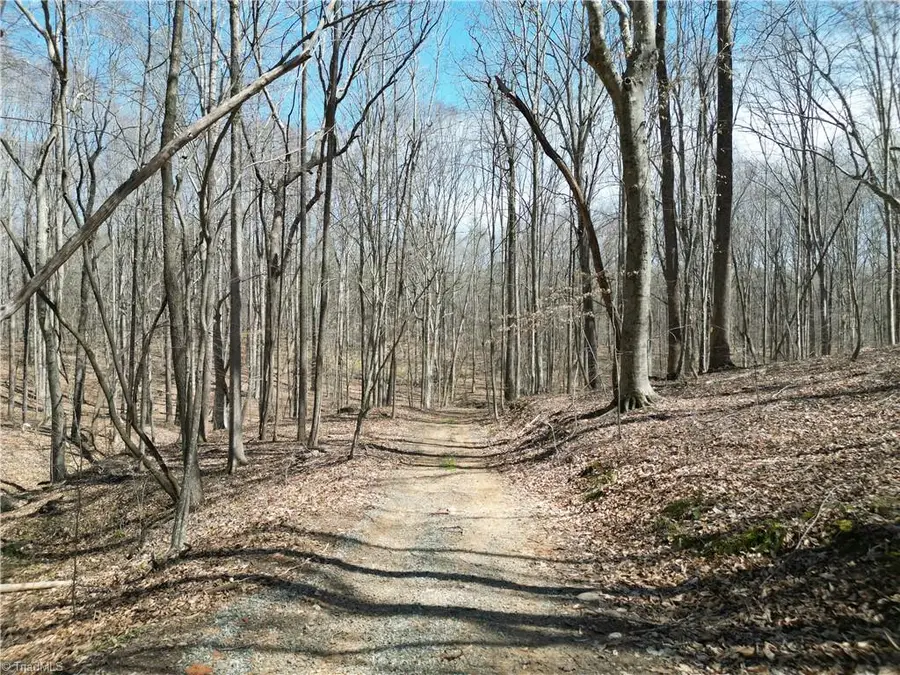 00 Tilden Nursery Road, Lexington, NC 27295 - #2